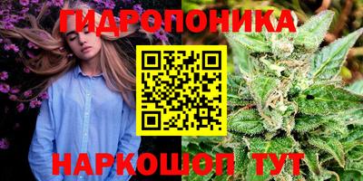 синтетический гашиш Заводоуковск